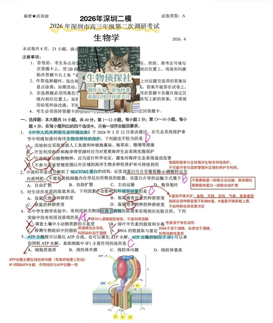 2026届广东深圳市高三二模生物学试卷解析 第1张