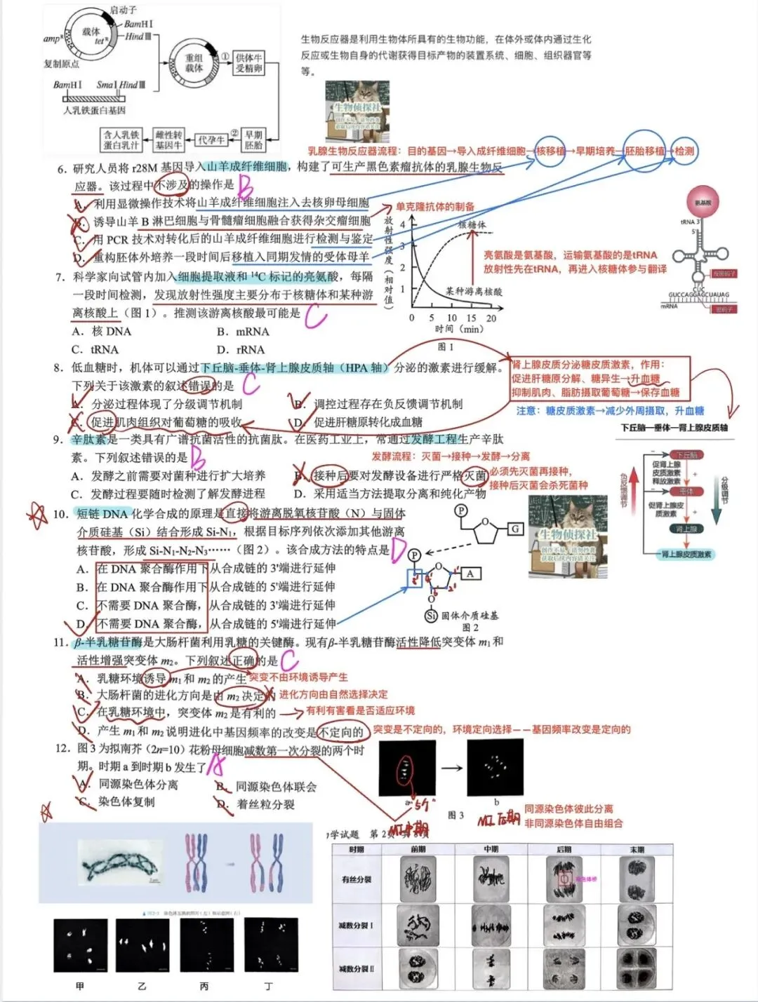 2026届广东深圳市高三二模生物学试卷解析 第2张