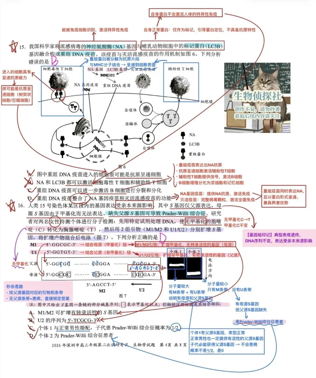 2026届广东深圳市高三二模生物学试卷解析 第4张