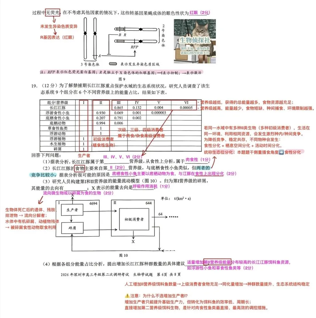 2026届广东深圳市高三二模生物学试卷解析 第6张