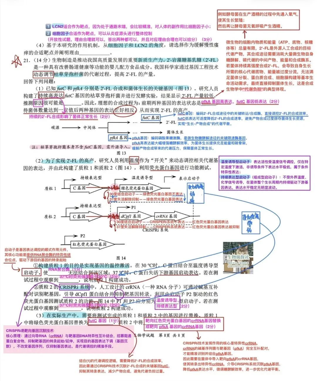 2026届广东深圳市高三二模生物学试卷解析 第8张