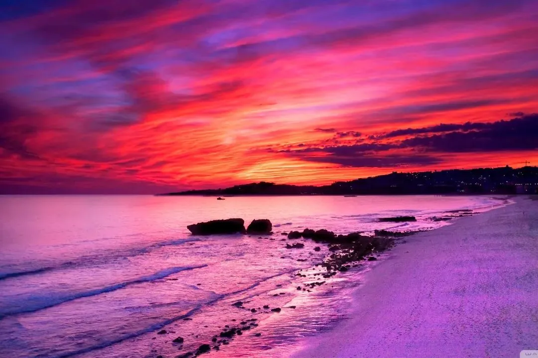 万众期待:《弹幕说我抄袭了女主的高考试卷,可我交的是白卷啊》江清影贝安安【TXT资源/全剧终】閲读 第6张