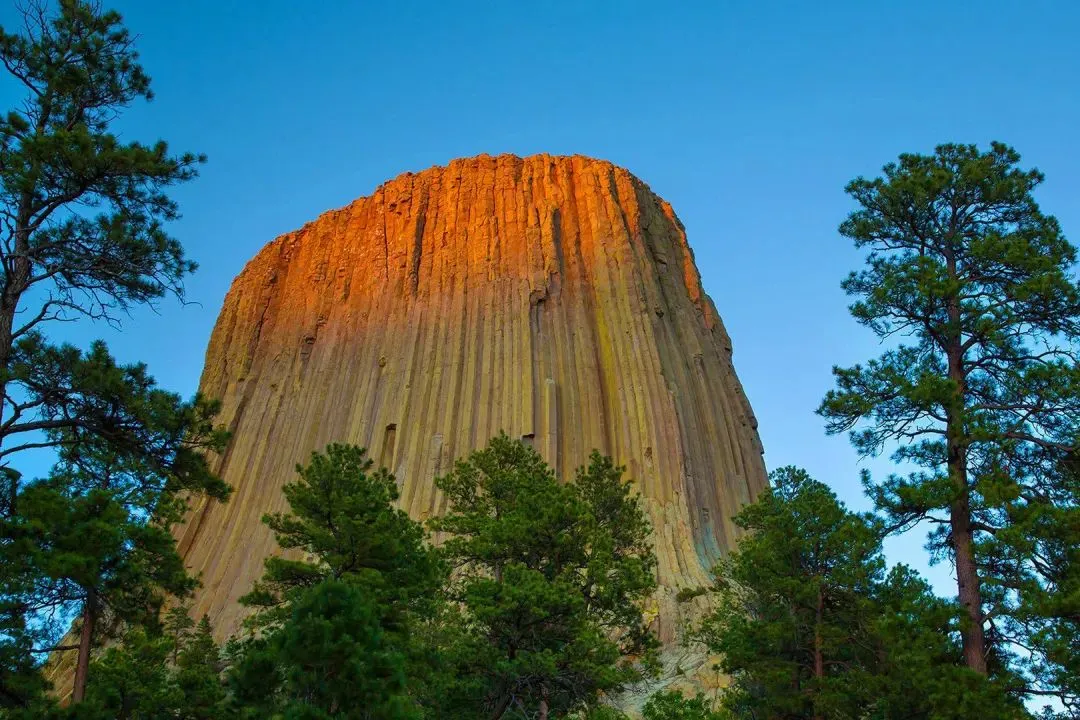万众期待:《弹幕说我抄袭了女主的高考试卷,可我交的是白卷啊》江清影贝安安【TXT资源/全剧终】閲读 第8张
