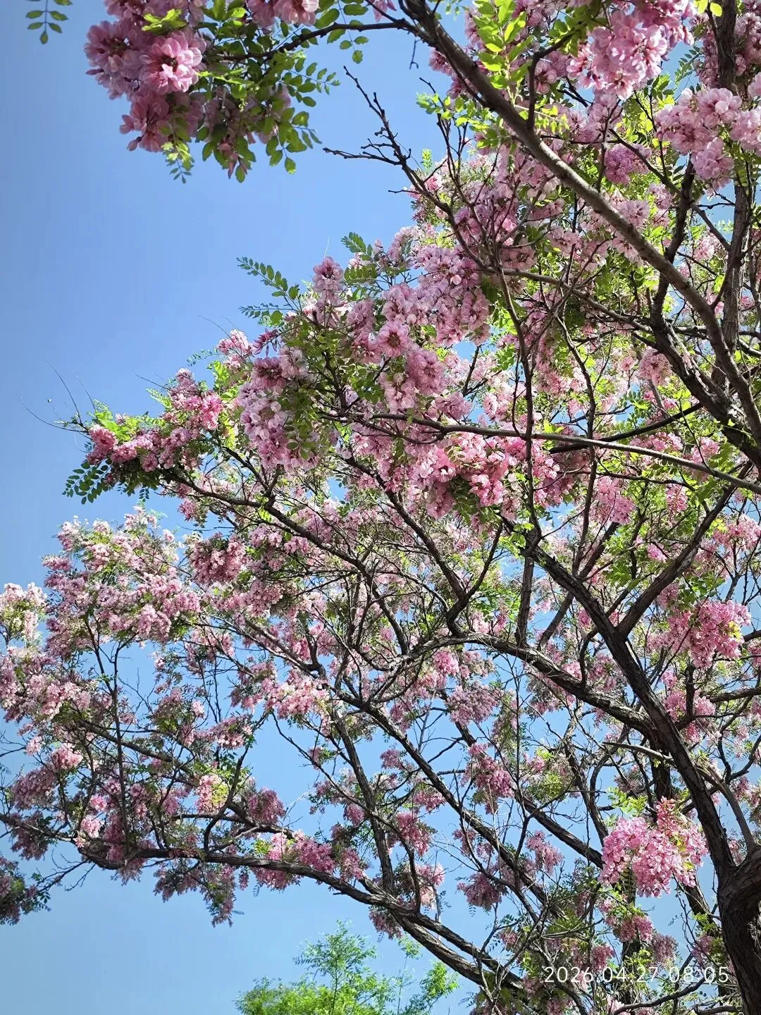 中考倒计时第54天 第1张