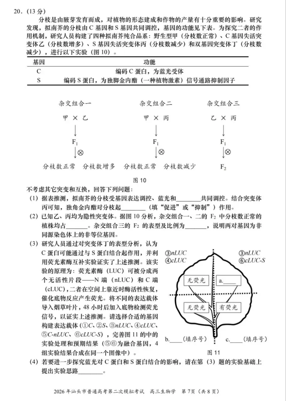 【好卷】2026年广东汕头二模生物试卷+评分标准 第2张
