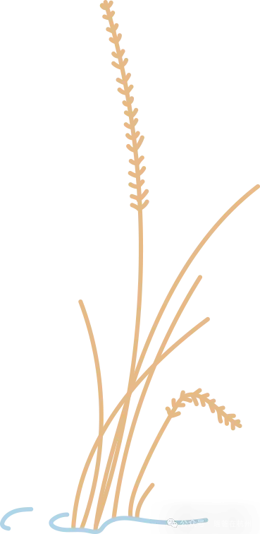 杭州滨江区初三一模试卷分享(语文、科学) 第18张