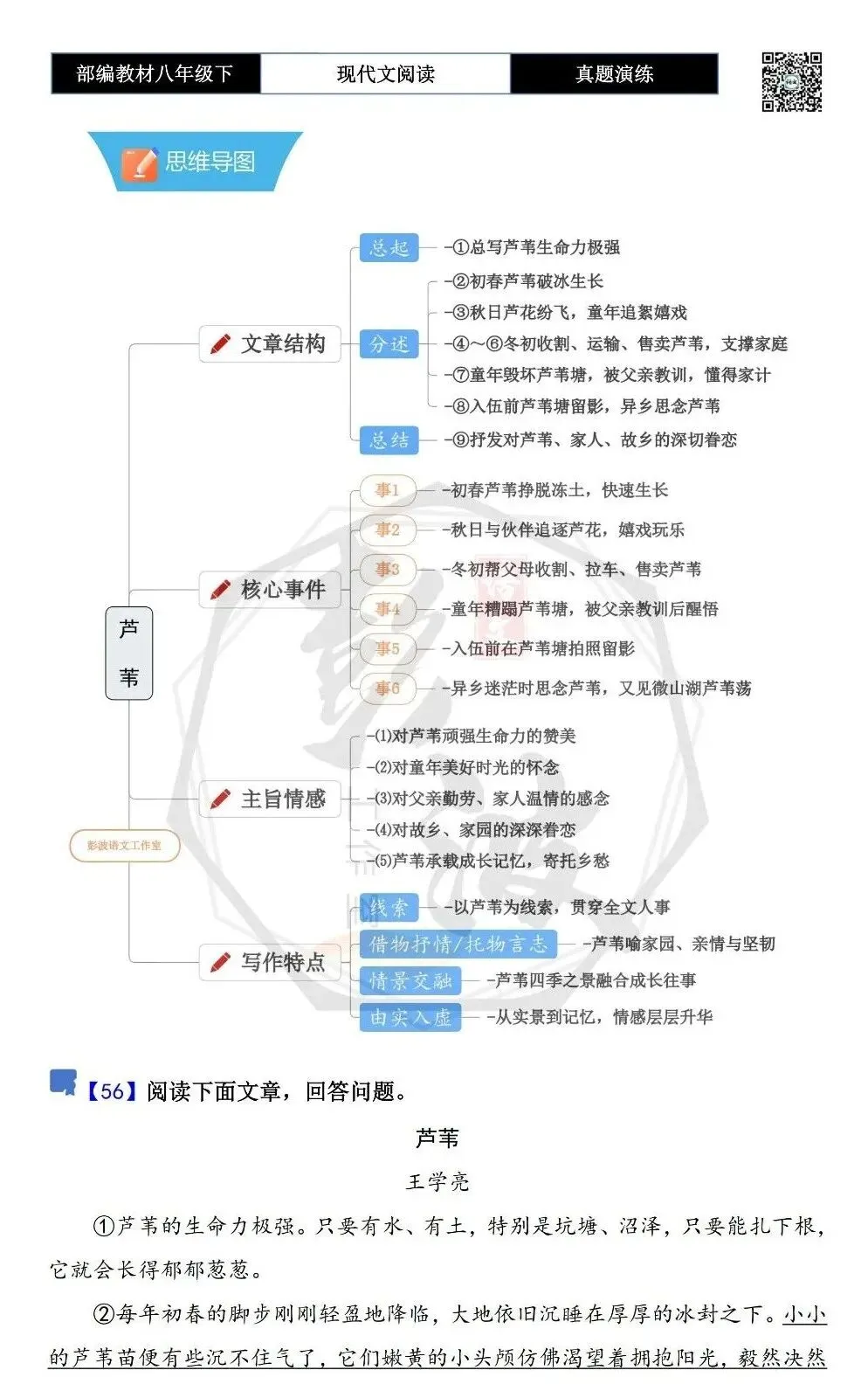 【现代文阅读-真题演练】八年级下-56-芦苇-思维导图+试题精析 第5张