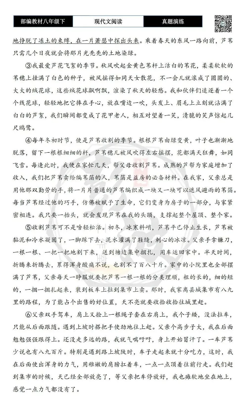 【现代文阅读-真题演练】八年级下-56-芦苇-思维导图+试题精析 第6张