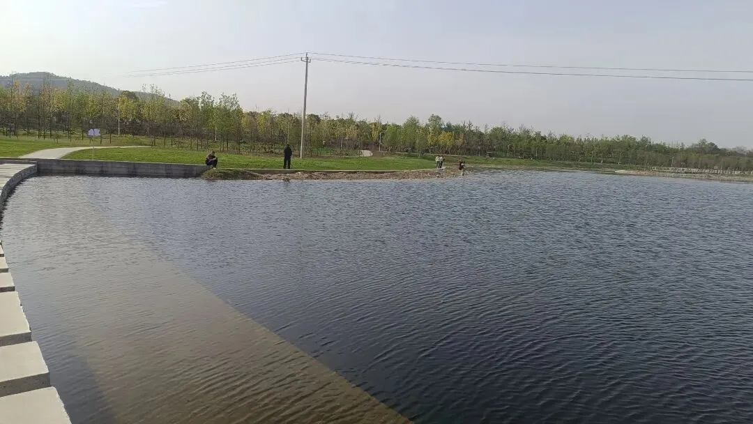 中考倒计时:心定,才是考场最大的底气!  第1张