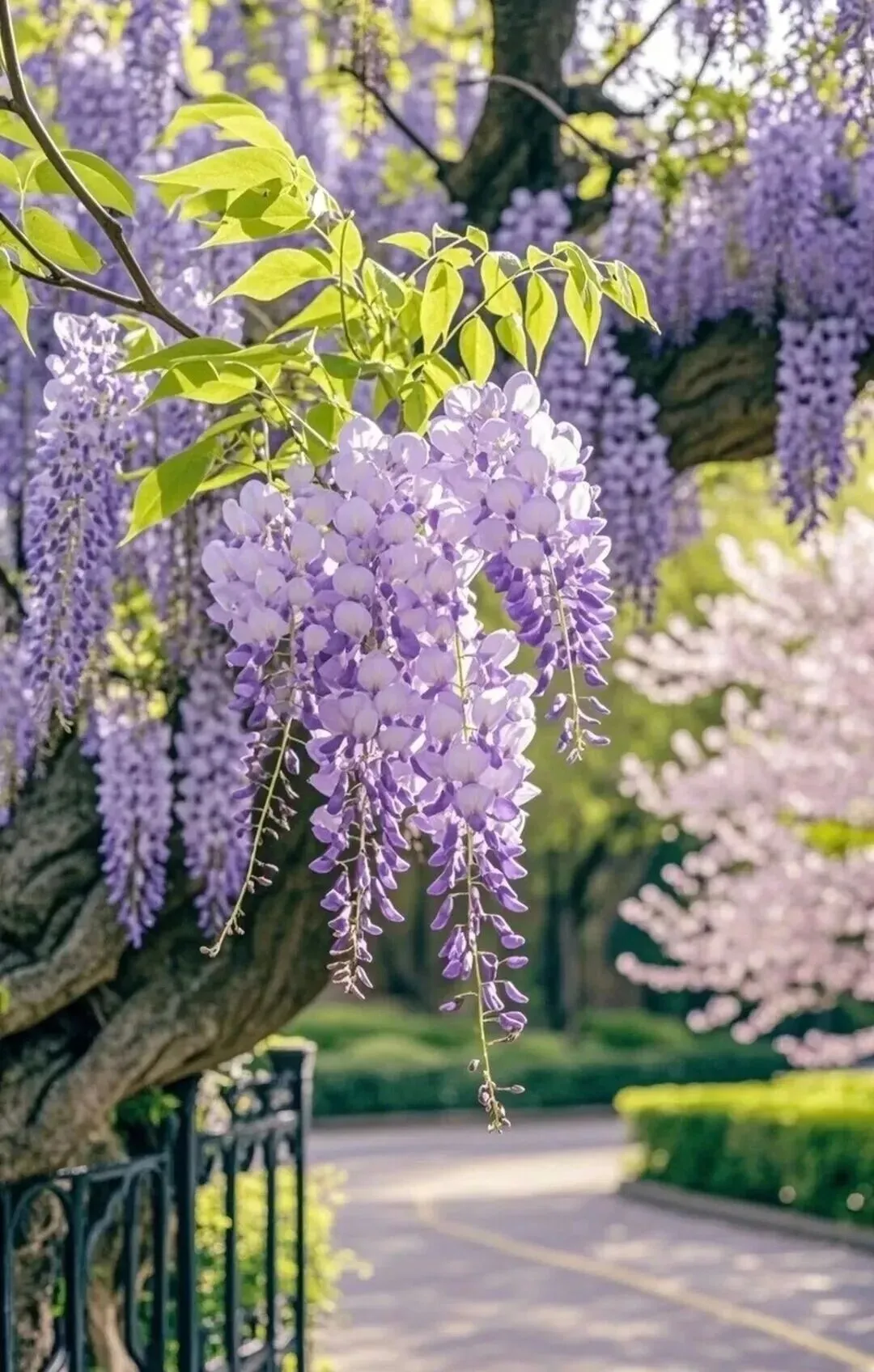 26七年级试卷分析 第1张