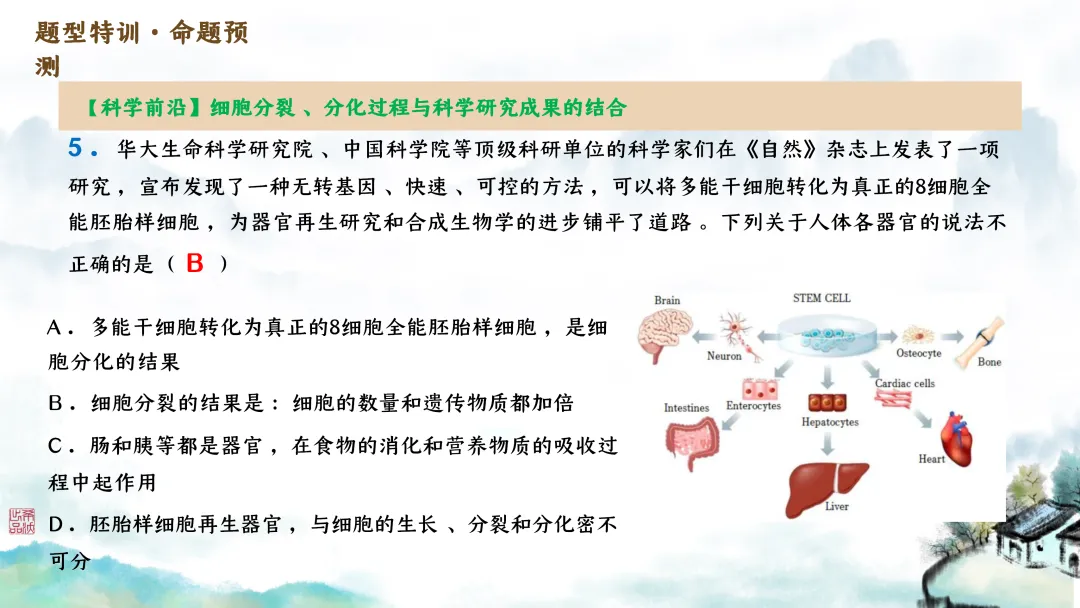 SK246 初中生物 中考讲座资源包《研读课标素养 洞察命题新势 精筑备考育人—2026 届初中生物复习策略分析》讲座课件PPT+ 文字稿Word 第32张