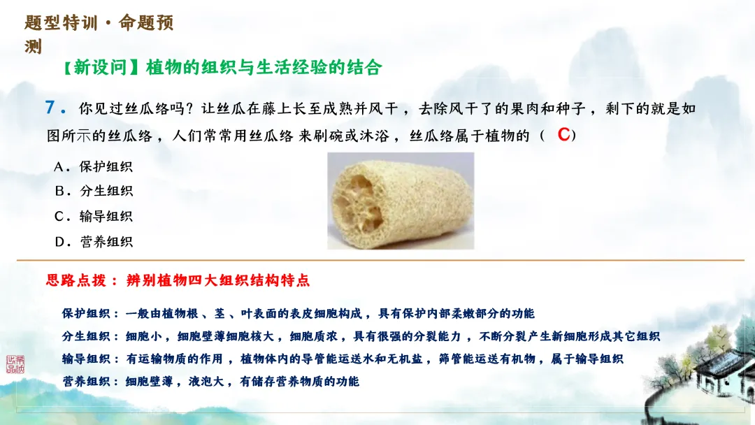 SK246 初中生物 中考讲座资源包《研读课标素养 洞察命题新势 精筑备考育人—2026 届初中生物复习策略分析》讲座课件PPT+ 文字稿Word 第34张