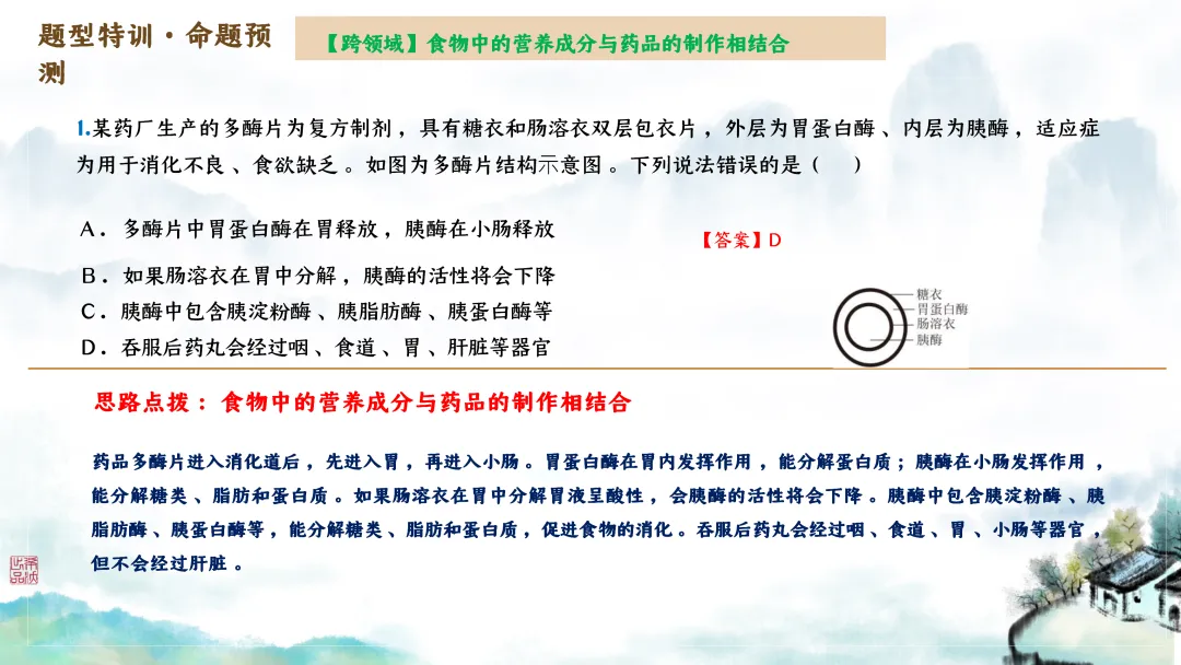 SK246 初中生物 中考讲座资源包《研读课标素养 洞察命题新势 精筑备考育人—2026 届初中生物复习策略分析》讲座课件PPT+ 文字稿Word 第61张