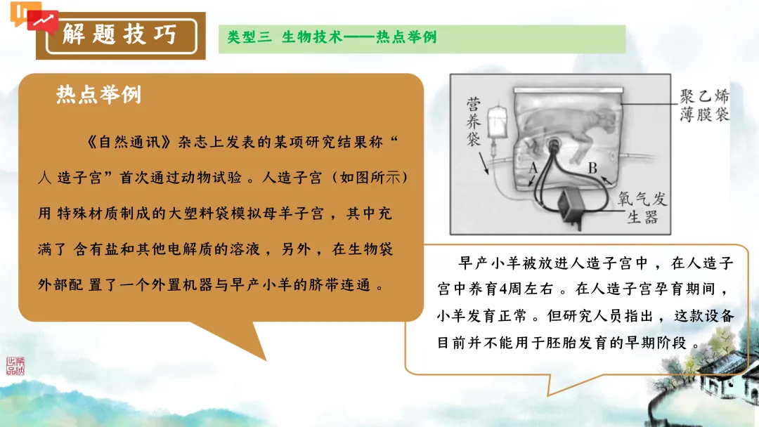 SK246 初中生物 中考讲座资源包《研读课标素养 洞察命题新势 精筑备考育人—2026 届初中生物复习策略分析》讲座课件PPT+ 文字稿Word 第100张