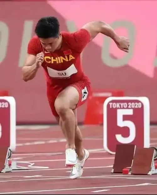 助力中考|新课标+最新热点:中考作文高频主题与分类素材,拔高写作立意,冲击一类文必看! 第3张