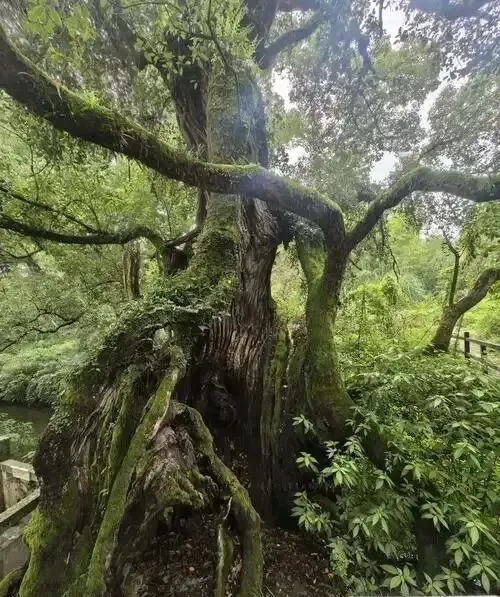 助力中考|新课标+最新热点:中考作文高频主题与分类素材,拔高写作立意,冲击一类文必看! 第18张