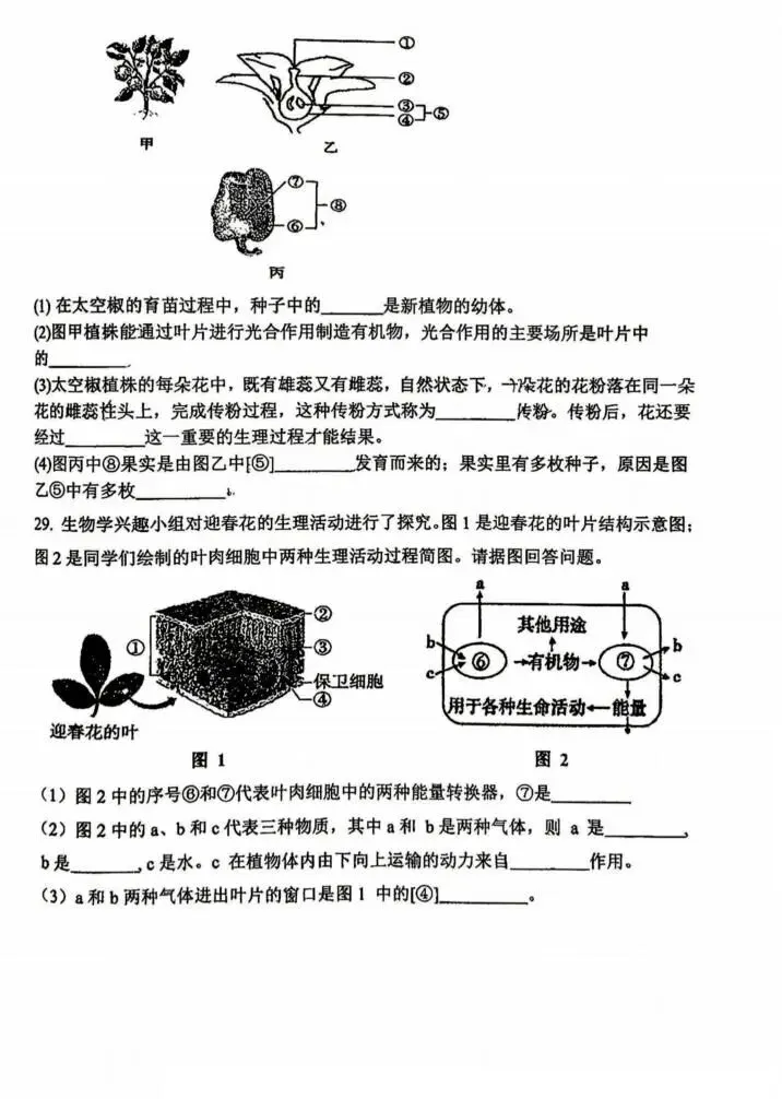 松雷中学八年级试卷+答案【2026年】【生物】【高清电子版】 第7张