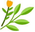 “润心”行动 ▏“陪伴初三,赋能中考”考前心理疏导线上资源包请查收 第7张