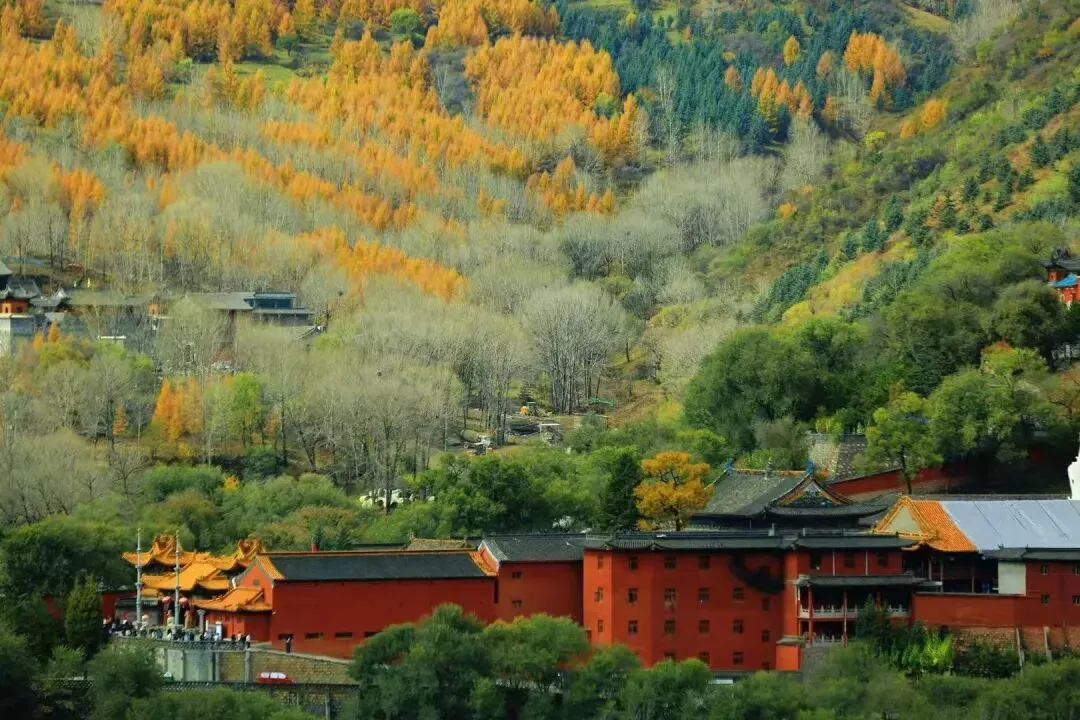 试卷分享:2025学年第一学期浙江省9+1高中联盟高二年级期中考试 第1张