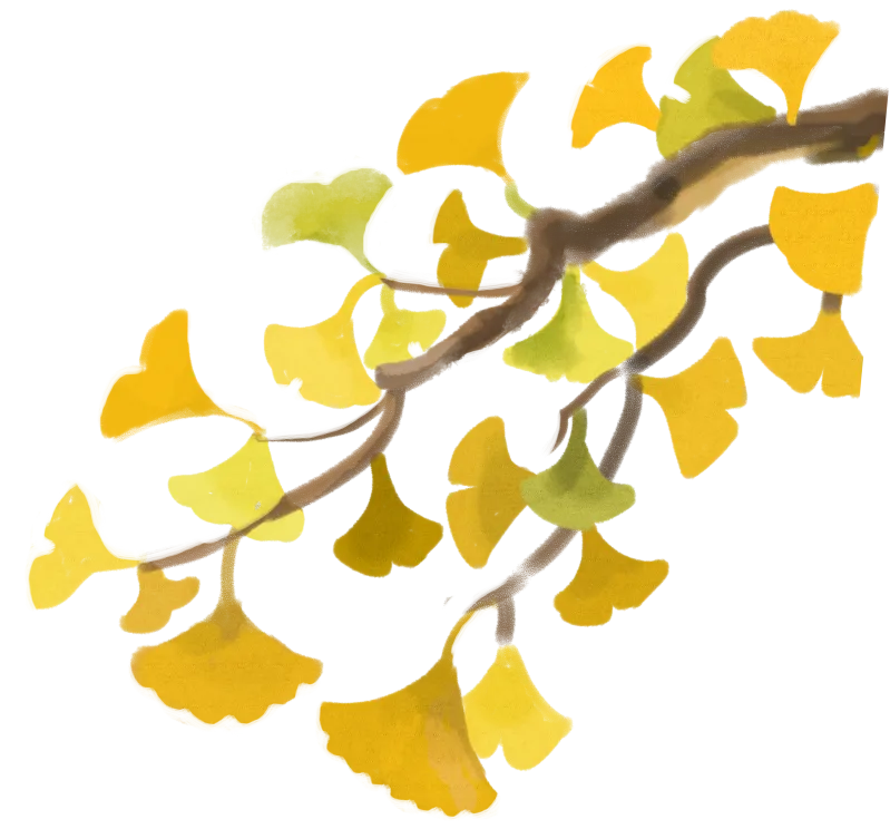 直播预告 | 起点考试四六级模拟试卷免费派送! 第9张