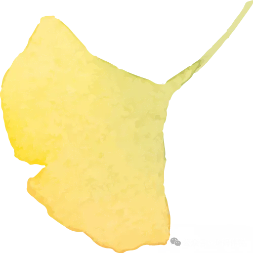 【期中试卷】九年级中考数学考前模拟卷(全国通用),共3套(附答案),完整电子版可打印 第1张