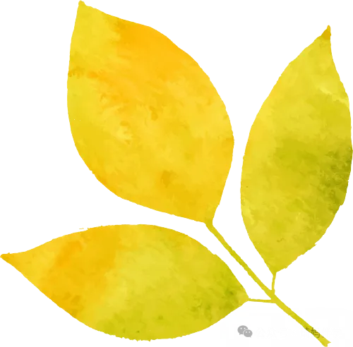 【期中试卷】九年级中考数学考前模拟卷(全国通用),共3套(附答案),完整电子版可打印 第10张