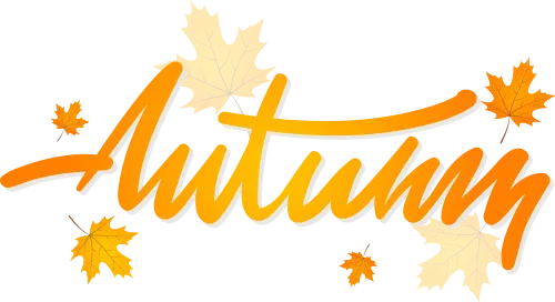 陕西师范大学2027考研真题和资料 | 陕西师范大学学科教学物理考研850普通物理答案笔记习题!学长学姐强推 第5张