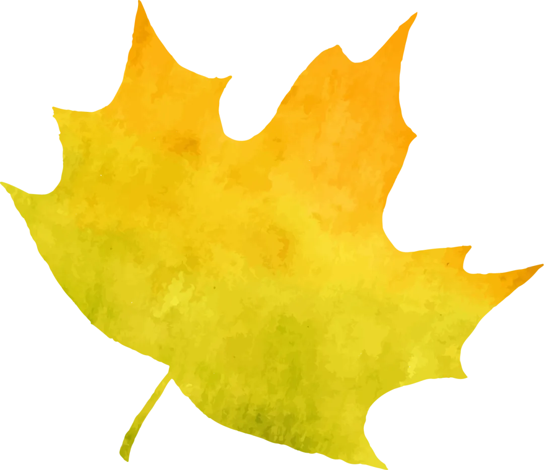 陕西师范大学2027考研真题和资料 | 陕西师范大学学科教学物理考研850普通物理答案笔记习题!学长学姐强推 第33张