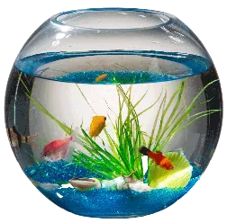 2026年中考物理计算强化题库60题 第15张