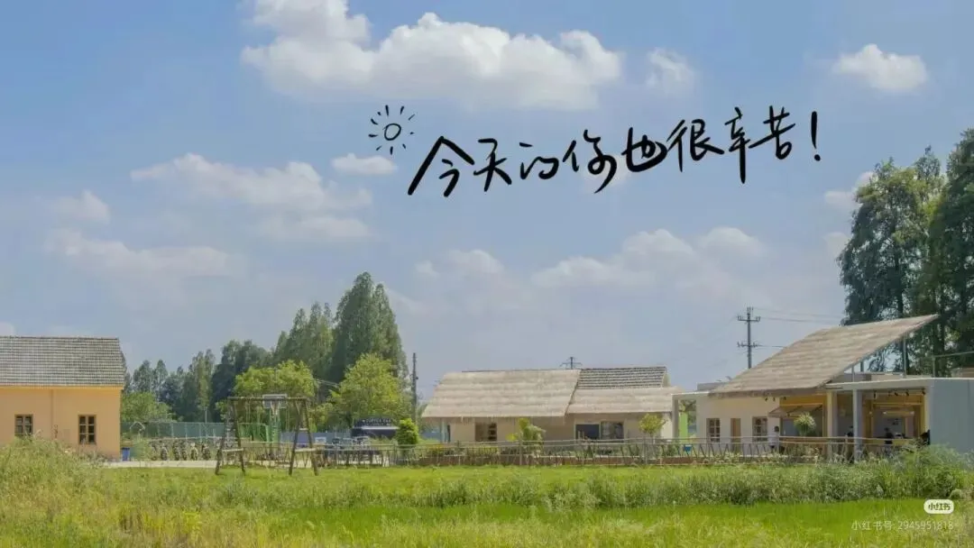 中考别乱签约、瞎访校!一个初三妈妈的真心话 第1张