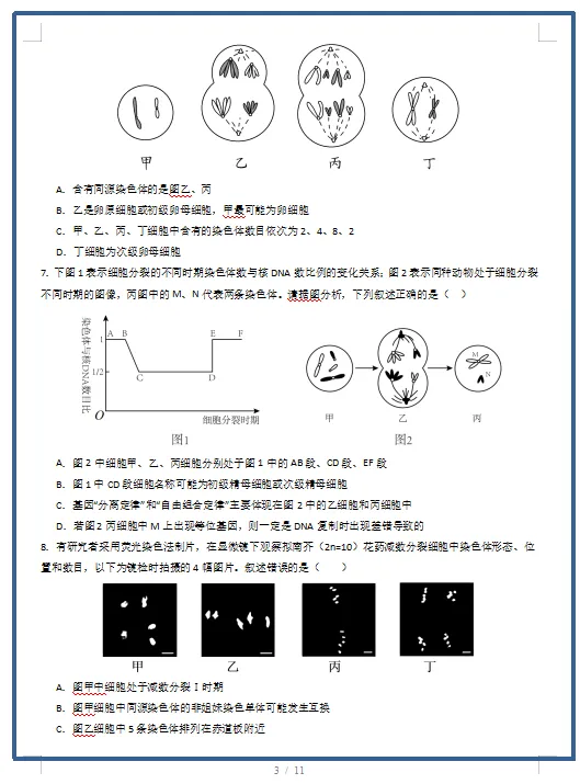 2026春人教版生物:高一生物下学期期中考试模拟试卷(共2套),提前打印出来做一做,拿高分! 第5张