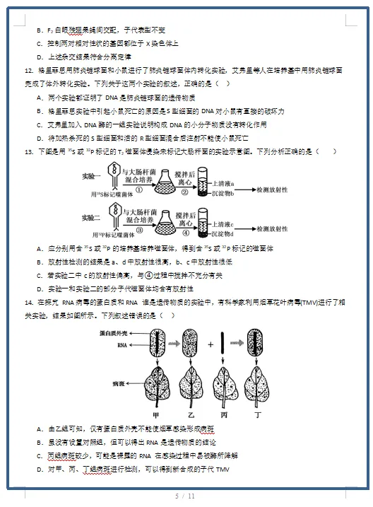 2026春人教版生物:高一生物下学期期中考试模拟试卷(共2套),提前打印出来做一做,拿高分! 第7张