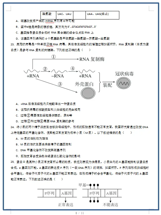 2026春人教版生物:高一生物下学期期中考试模拟试卷(共2套),提前打印出来做一做,拿高分! 第10张