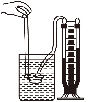 2026年中考物理实验强化题库60题 第7张