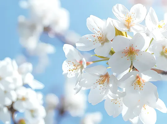 【班主任寄语】战胜自我 圆梦中考 第2张