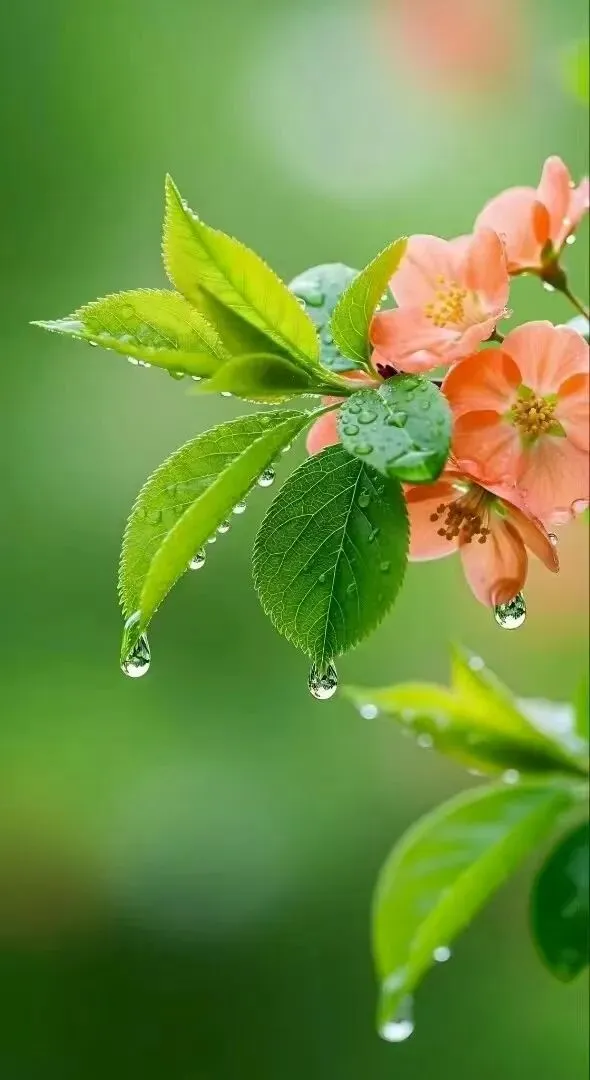 【班主任寄语】战胜自我 圆梦中考 第4张