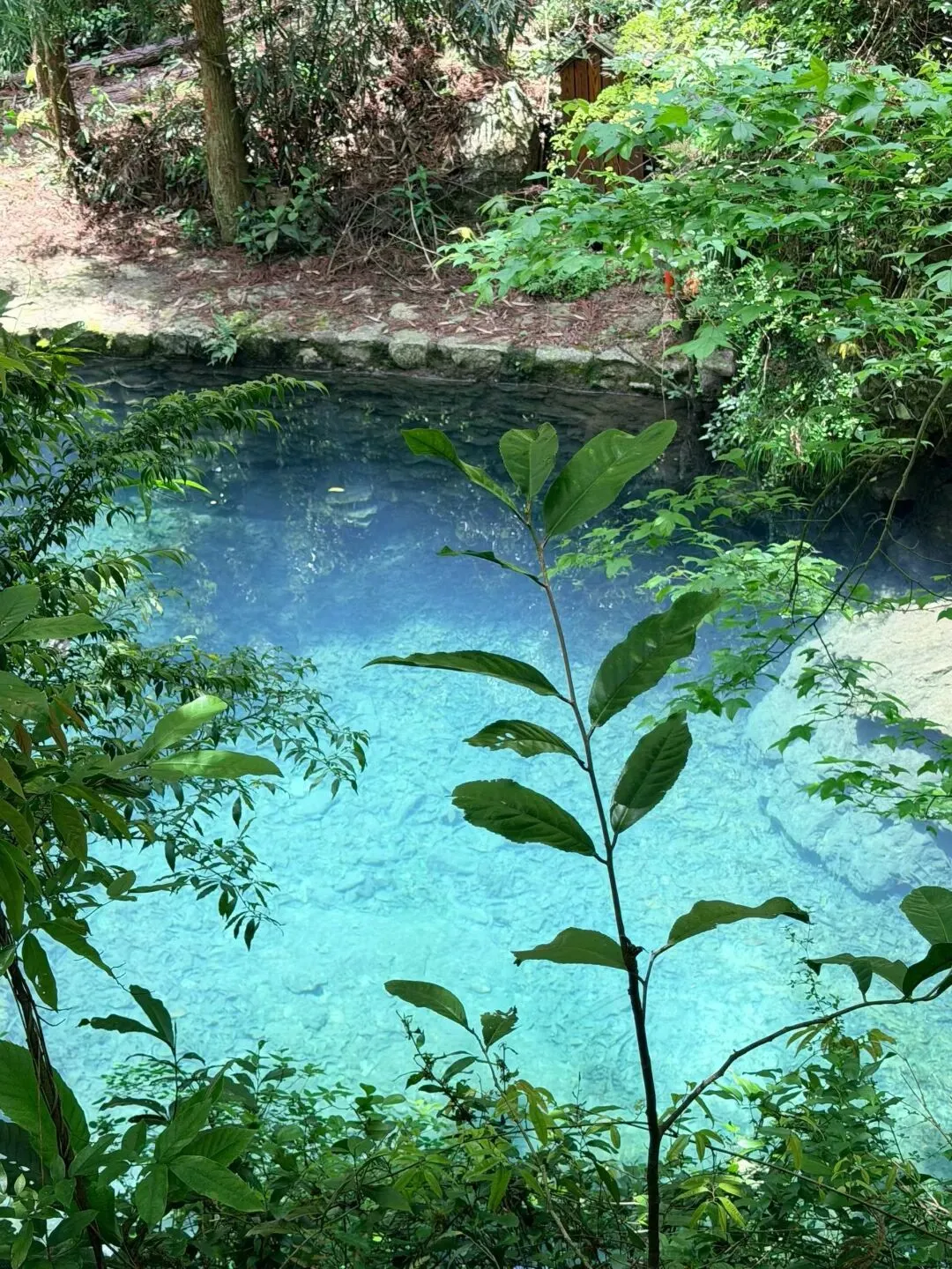 2026届高三各省市优秀模拟试卷物理难题分享(三)电磁感应综合#核心价值#学科素养#关键能力#必备知识#基础性#综合性##应用性#创新性 第6张