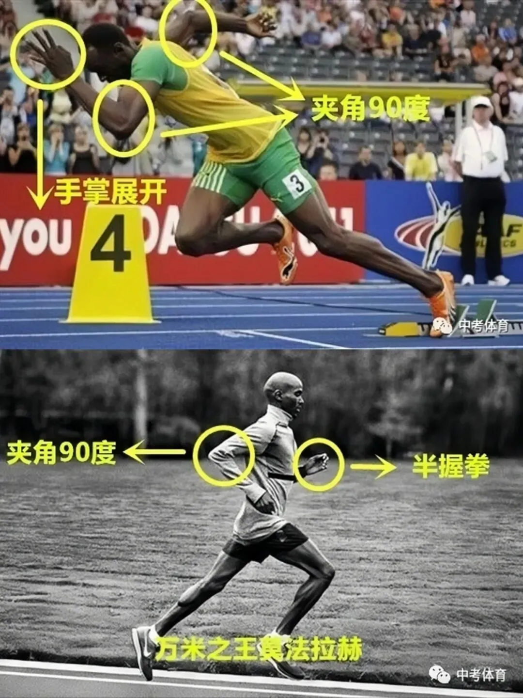 中考体育跑步 这样摆臂才是正确的! 第1张