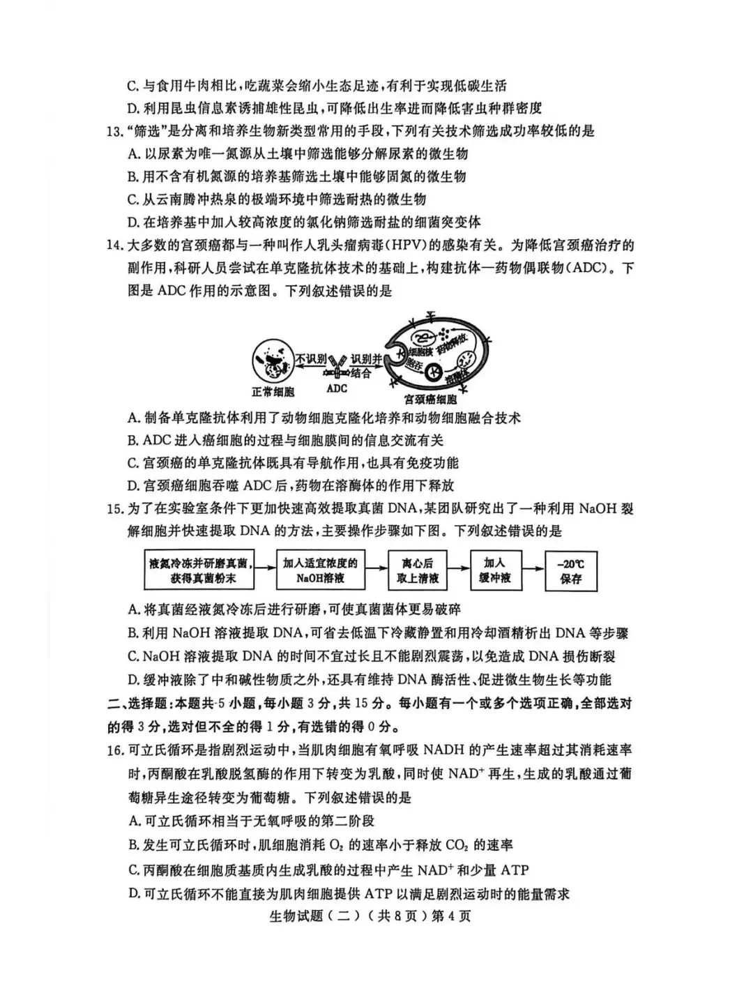 【高三生物】山东聊城市2026届高考考试模拟卷(聊城二模)生物试卷+答案 第4张