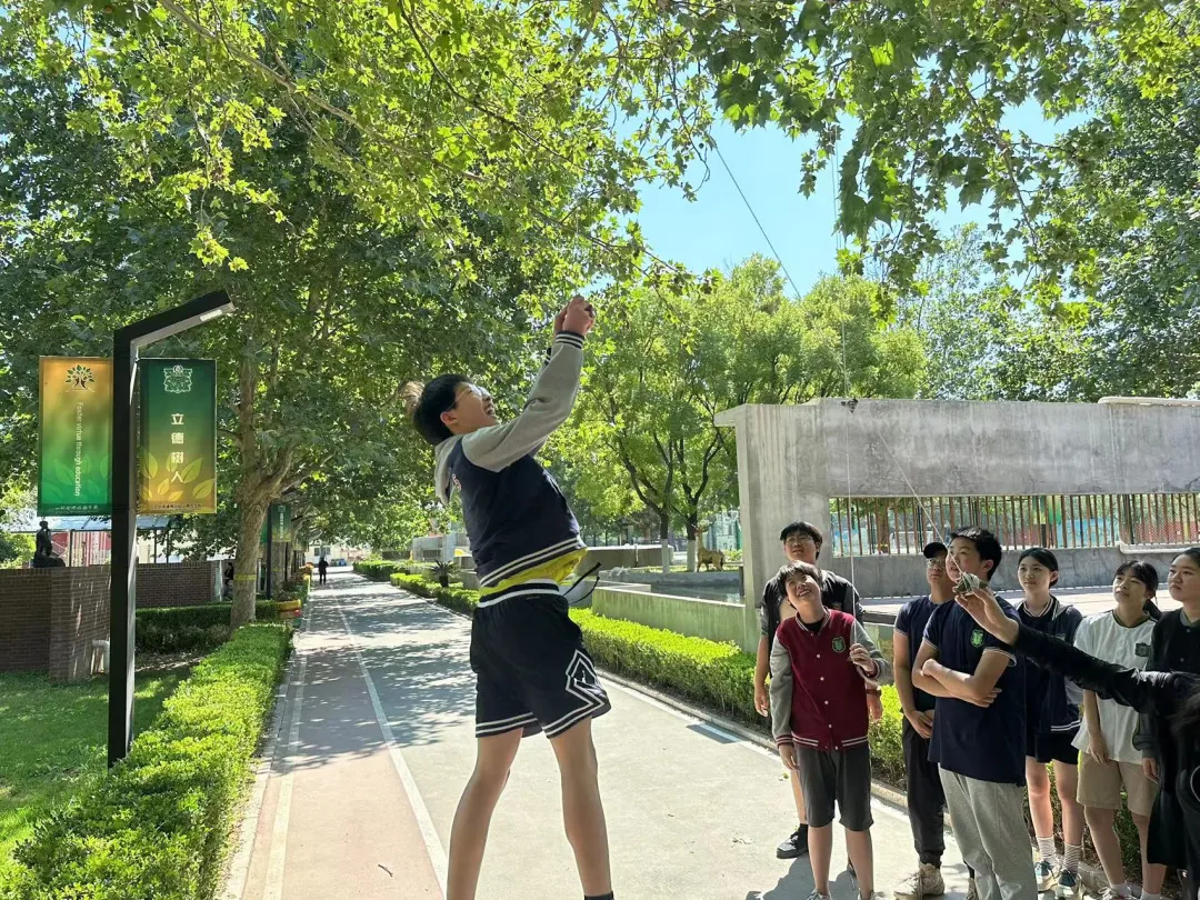 树人学校 | 中考加油! 第5张