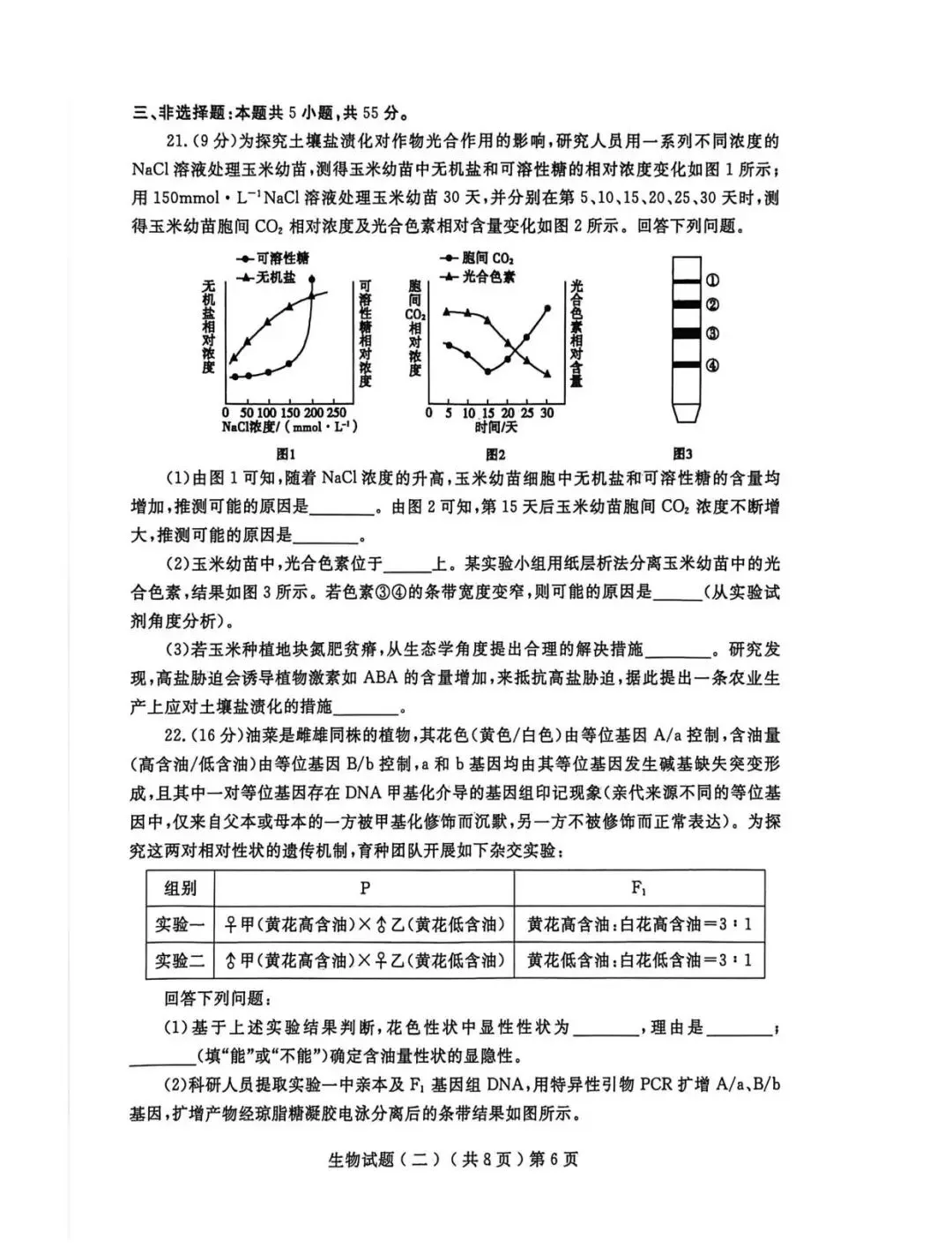 【高三生物】山东聊城市2026届高考考试模拟卷(聊城二模)生物试卷+答案 第6张