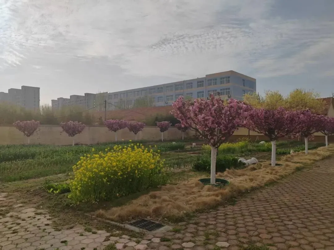 中考语文复习:名著导读每日一练 (4.28) 第1张