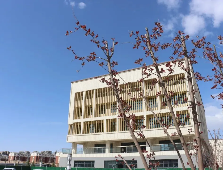 群策群力助中考 倾囊相授传匠心——银川市第三十六中学语文组开展备考系列专题活动 第14张