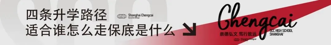 上海成才专栏|中考后,除了普高和职校,上海中考生家庭其实有第4种选择 第2张