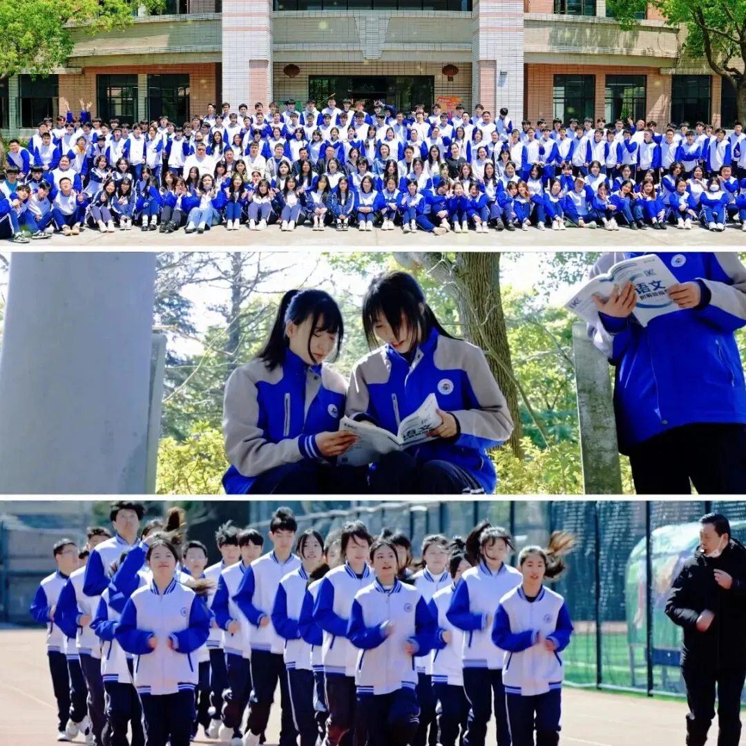 上海成才专栏|中考后,除了普高和职校,上海中考生家庭其实有第4种选择 第8张