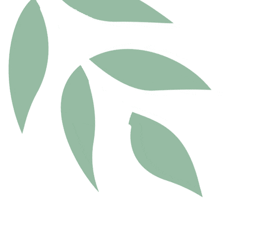 全真模拟实战演练四六级试卷免费派送 第11张