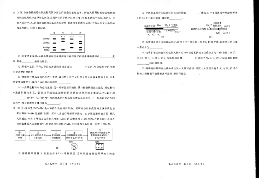 刚刚!2026开封高三二模全科试卷+答案,免费领! 第38张