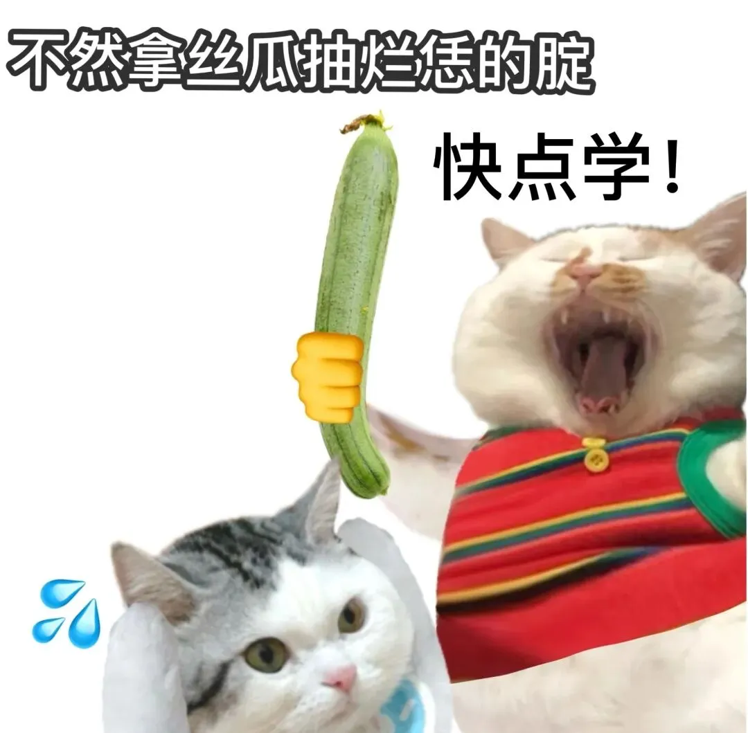 27考研政治历年真题(2009-2025年)PDF电子版 第1张