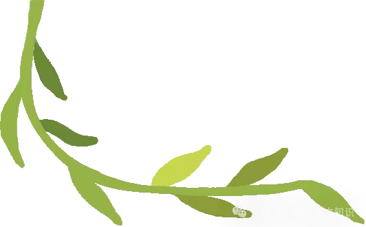 中考满分作文:10篇不同主题作文(含题目+解析) 第2张