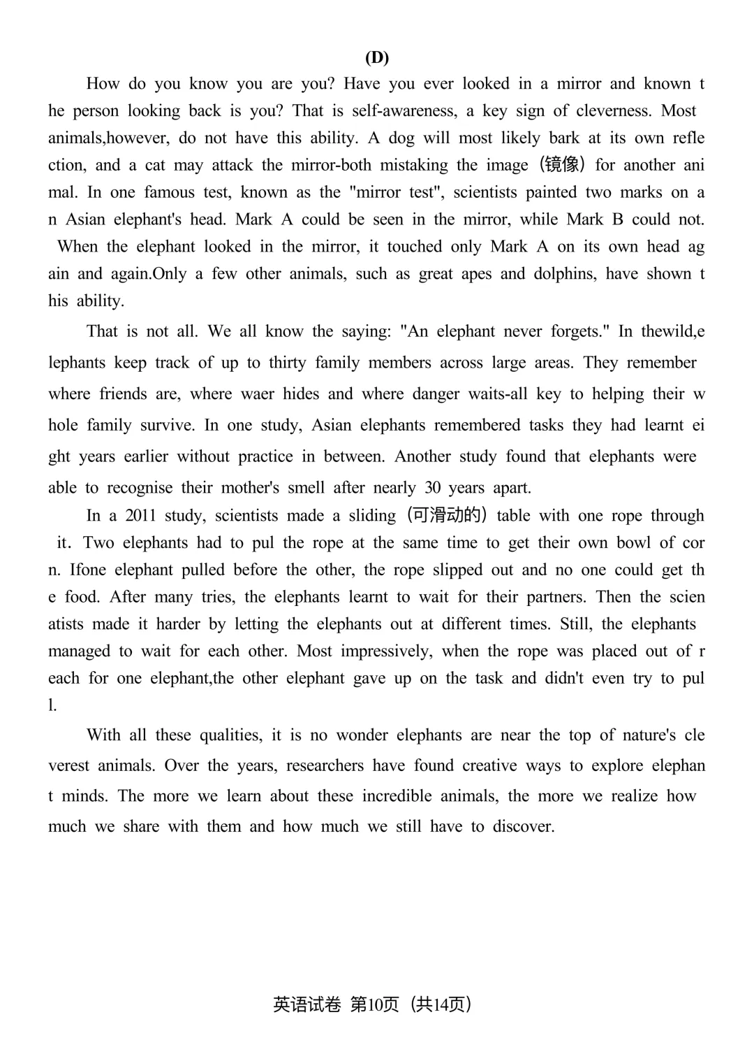 2026中考广州一模英语(原题+试卷分析):写作考My Photo, My Story 第10张